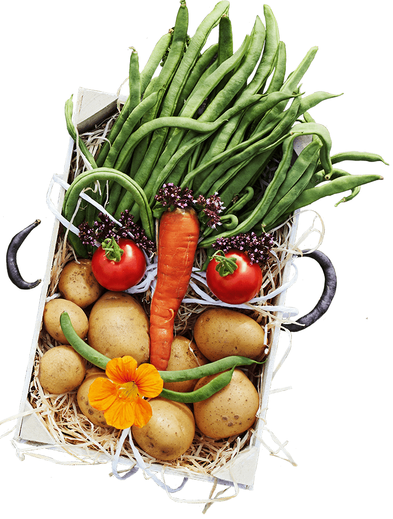 Gemüsekorb als Gesicht